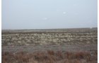 Property photo 33 - Kansas Land Auction - 960 Acres - 7 Farms in 3 Counties